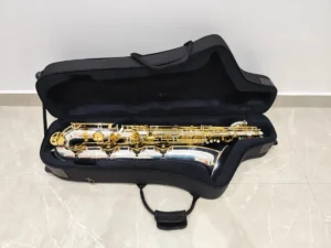 D NQ NP 2X 657195 MLB104338616174 012026 F 300x225